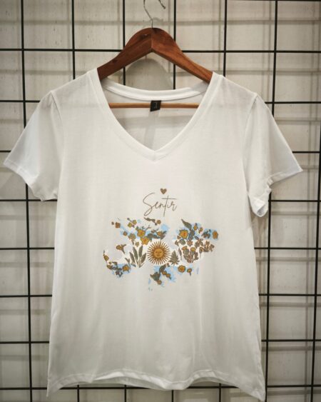 Remera clásica V selección Argentina